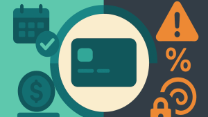 Issuer Installment Plans (Card-Native Buy Now, Pay Later)